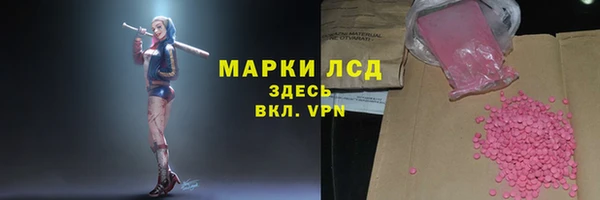 ПСИЛОЦИБИНОВЫЕ ГРИБЫ Вязники