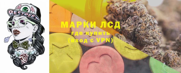 ПСИЛОЦИБИНОВЫЕ ГРИБЫ Вязники